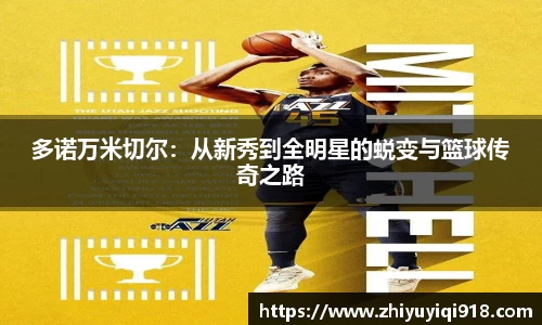 星空·综合体育官方网站
